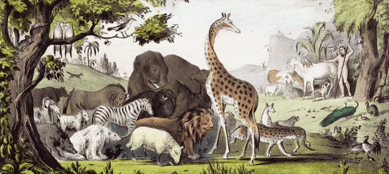 ESL easy listening Noah's Ark